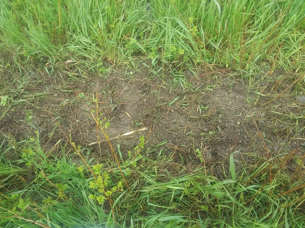 Christopher Greaves SecondEssays_20240606_101839.jpg